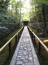 高桐院参道