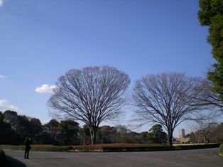 higasi