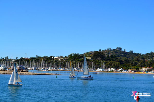 DSC_0285