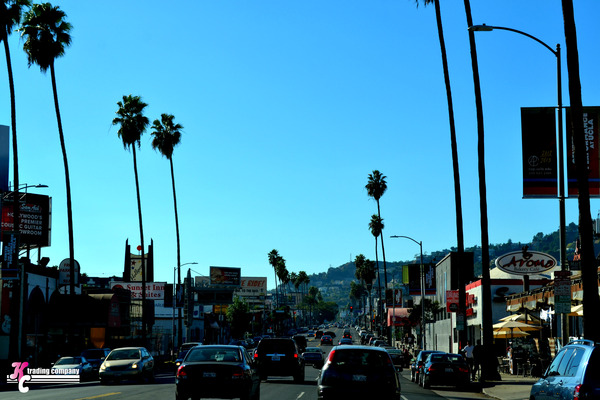 DSC_0930