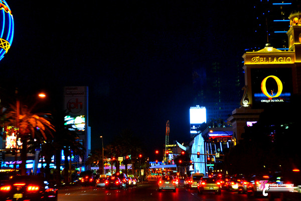 DSC_1005