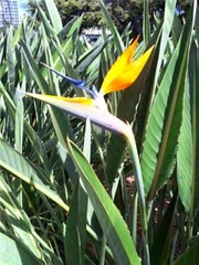 2010hawaii13