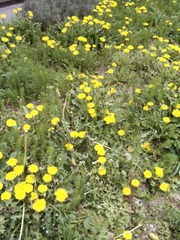 20110415