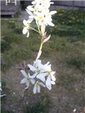 201104125
