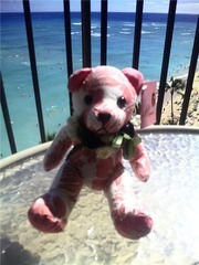 2010hawaii12