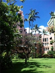 2010hawaii9