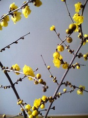 201101071