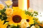 s-IMG_0198