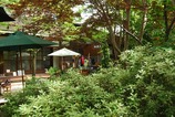 長瀞 カキ氷 阿左美冷蔵