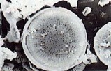 ee227ba8.jpg