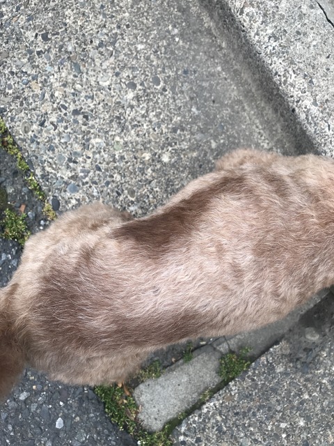 30C58BD4-8C6A-4F43-96D5-8667D5518E0E