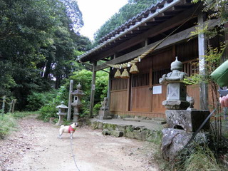 07