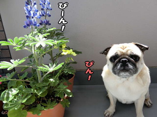 07