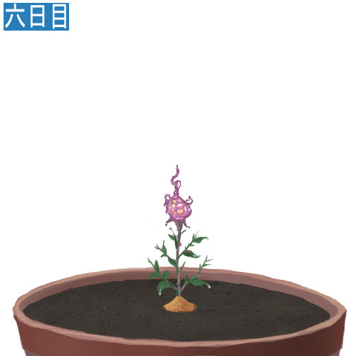 安価で植物を育てる
