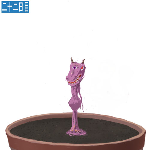 安価で植物を育てる