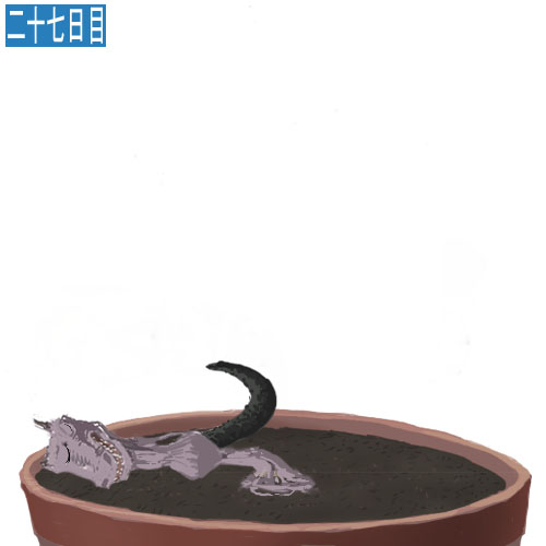 安価で植物を育てる