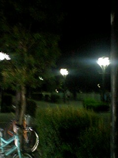 º£¤«¤é¥Ï¥Ã¥Æ¥ó¾ì¸«³Ø¤·¤Æ¤¯¤ë