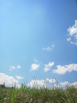 8bb52e0f.jpg