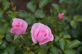 ef2abd85.jpg