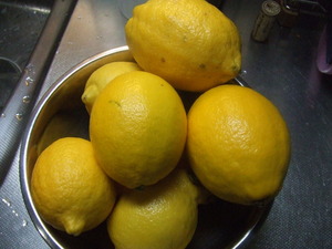 DSCF4536