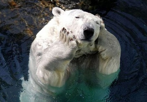 15-hungover-animals-who-have-no-regrets-funny-animal-photos6