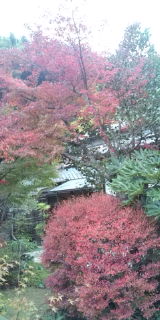 20091122105148