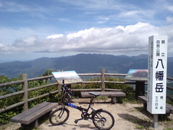 CA370114