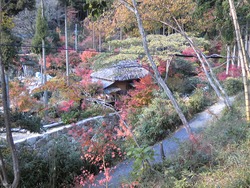 SH3C0498