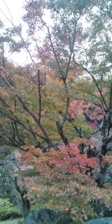 20091122105132