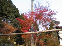 SH3C0497