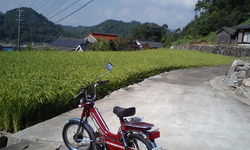 CA370002