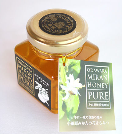 小田原みかんの花はちみつ・ボトルタグ付き