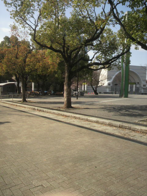a9ce9853.jpg