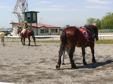DSC00557