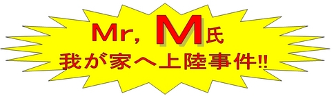 Mr M氏