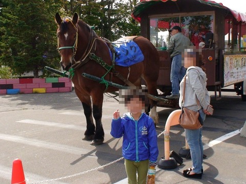DSC00474