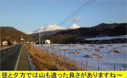 雌阿寒