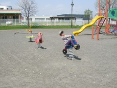 IMG_8731