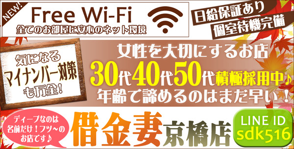 Wi-Fi960486