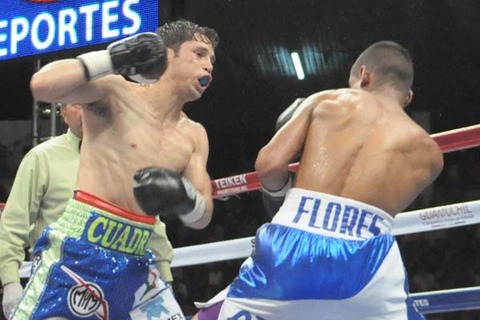 cuad-flores1