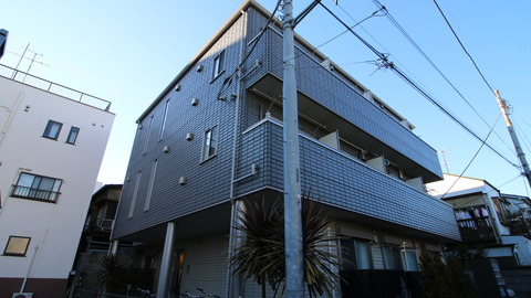 245516028_org