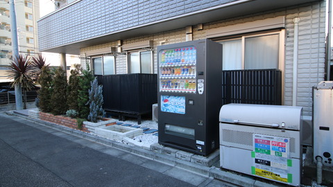 245515963_org