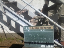 �����ʥ��åץ磻�䡼�˺�Ⱦ���