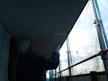上塗り塗布