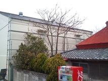 塗装前
