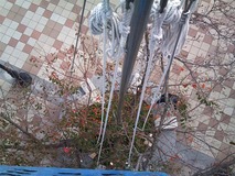 電飾作業