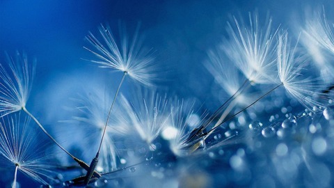 blue_drops-1280x720