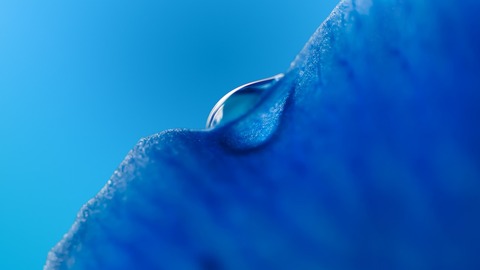 dew_drop_macro_blue-1280x720