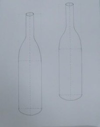bottle494