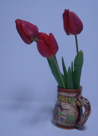 tulip0519-2